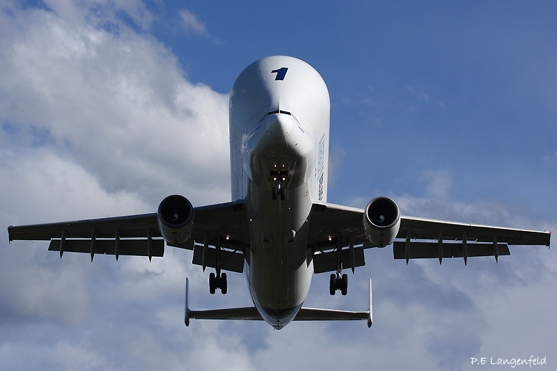Face to face with the jolly giant